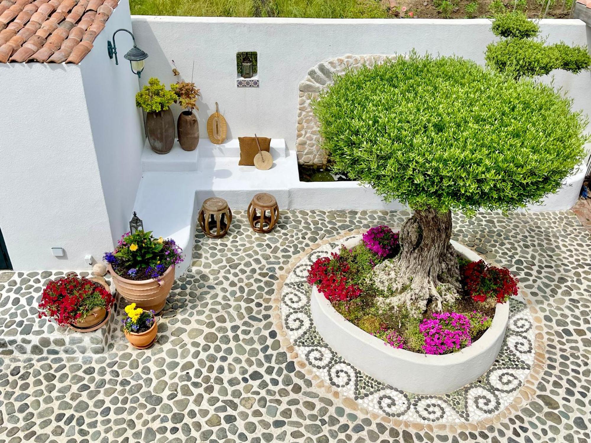 Aparthotel Casa De Oro Alma Sosopol Exterior foto