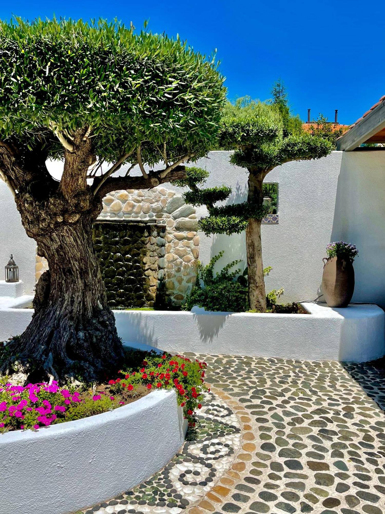 Aparthotel Casa De Oro Alma Sosopol Exterior foto